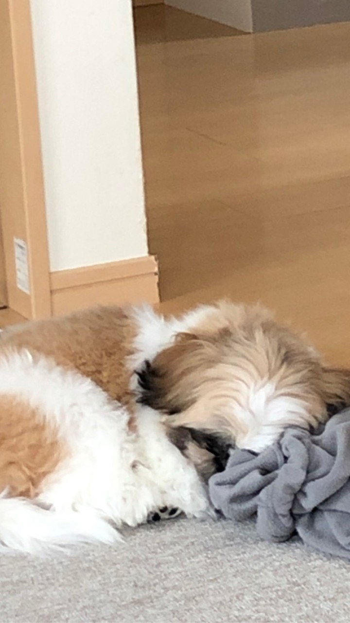 FFの集いのオープンチャット