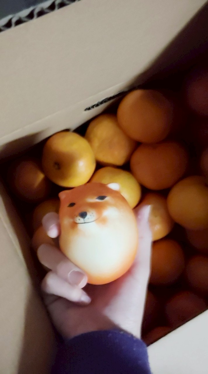 YouTube限定のオプチャ！入る条件チャンネル登録者50人以上