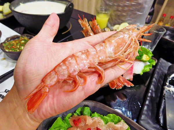 【三重餐廳】品味日式涮涮鍋-比手掌還大的蝦子火鍋店
