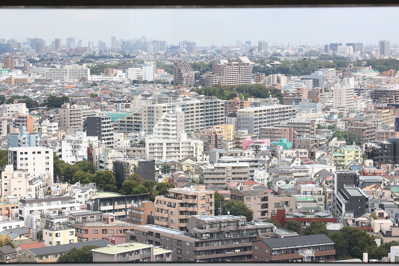 Canon EOS R 實戰測試：高ISO／追焦連拍／直出發色／防手震實拍評測