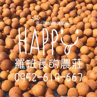 小農自產自銷🙌🏻傳統柴燒龍眼乾&青皮椪柑&砂糖橘&帝王柑&柳丁🔅羅班長的農莊🔅