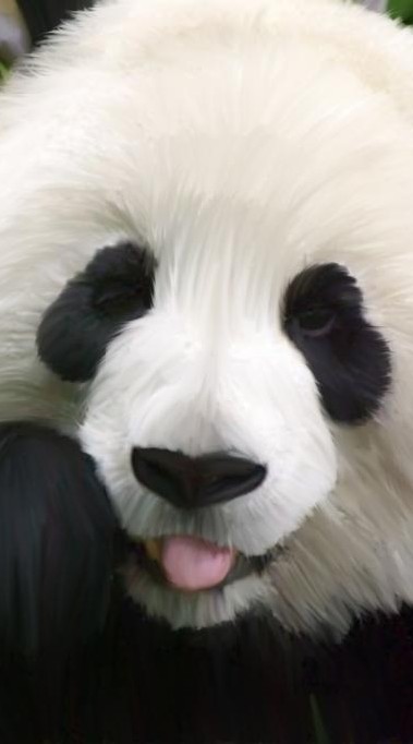 大台中 熊貓 互助群 𝐅𝐨𝐨𝐝𝐩𝐚𝐧𝐝𝐚