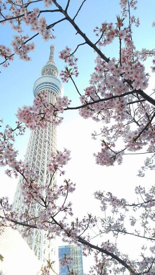 2024東京四日遊