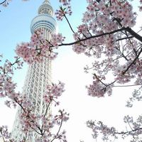 2024東京四日遊