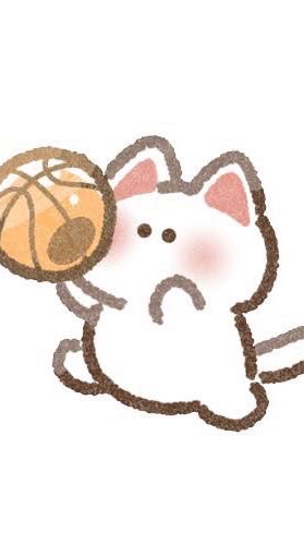 女子バスケの部屋！