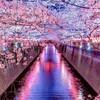 ライブトーク　推しの子あつまれ