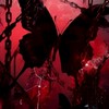 【EABO】魅影（BL）