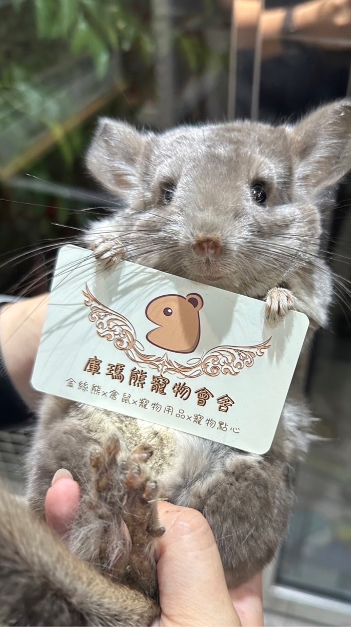 庫瑪熊寵物會舍家長群