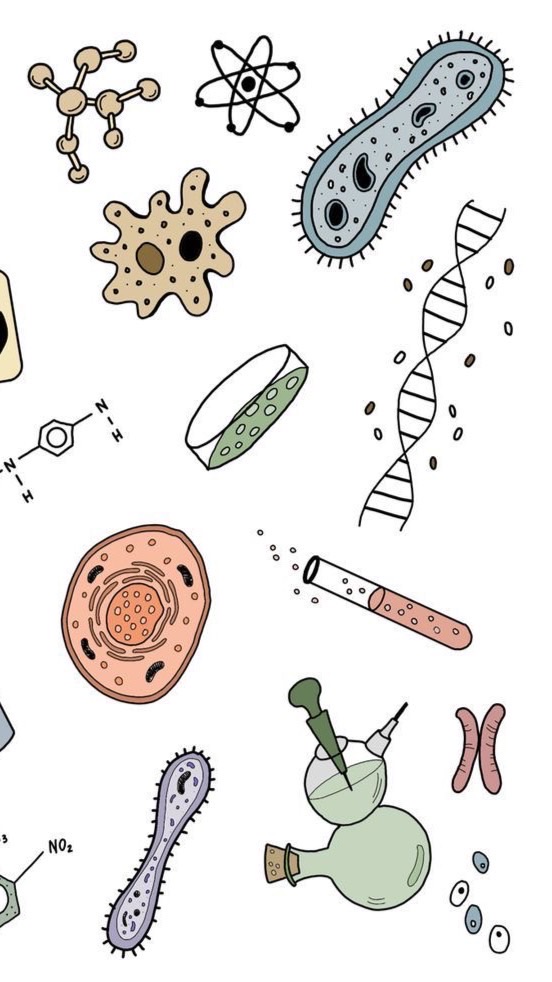 MIC101 General Biology 1/2566
