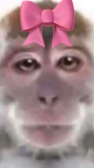 Monkeylovely 🐒💙