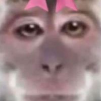Monkeylovely 🐒💙