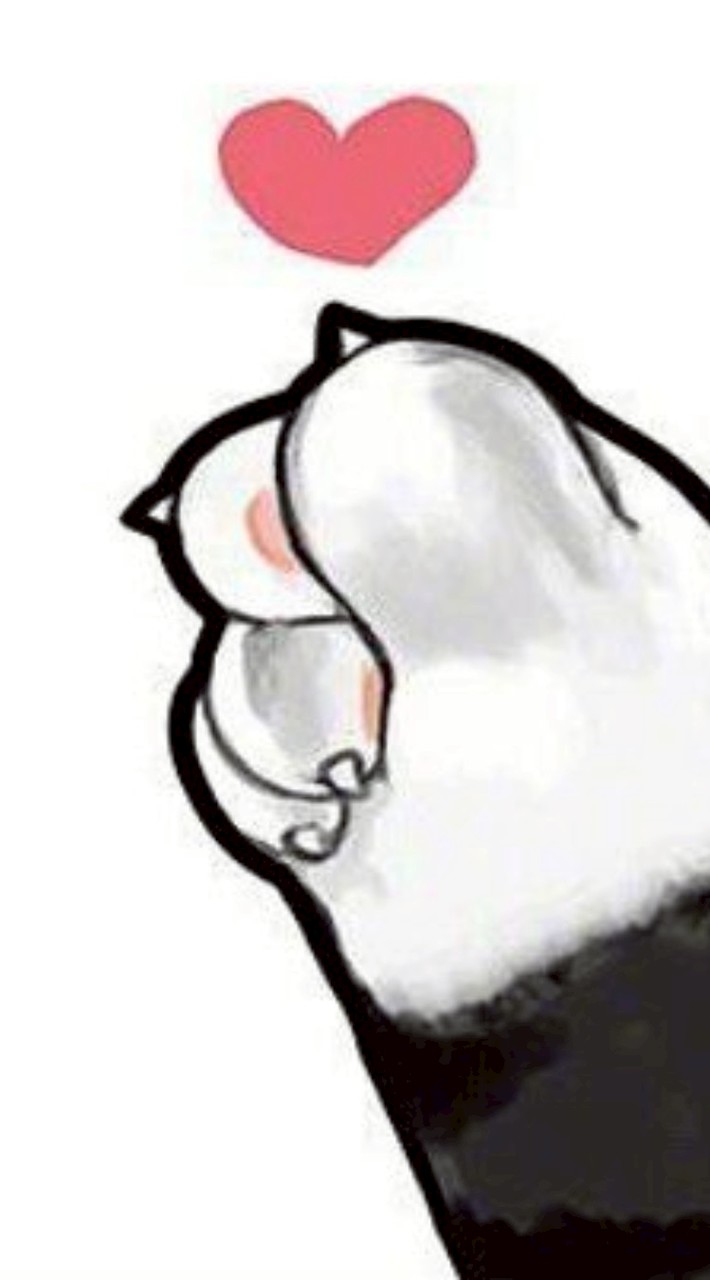 94愛黑貓🐈‍⬛