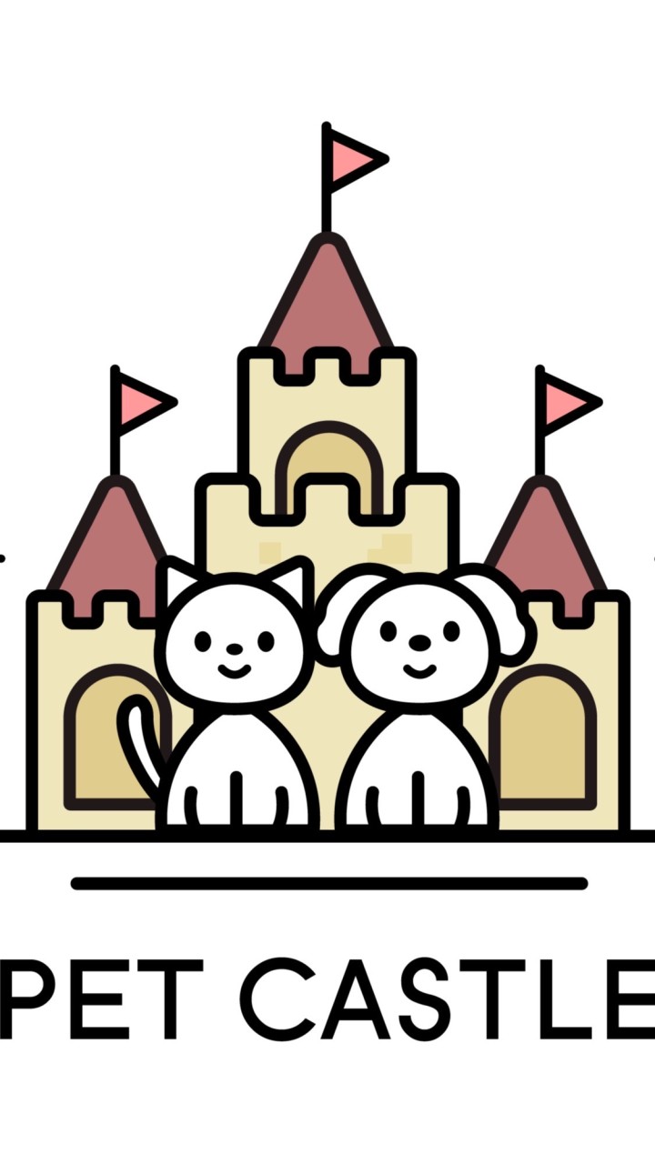 🏰Pet castle 🏰 Preorder ของเล่นของใช้น้องแมวจากจีน
