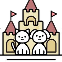 🏰Pet castle 🏰 Preorder ของเล่นของใช้น้องแมวจากจีน