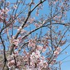 คนไทยในญี่ปุ่น  มีบริการล่ามญี่ปุ่น-ไทย