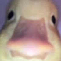 (คุยเล่นเฉพาะเพื่อน)