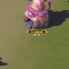 [TXy] TXY server v4联盟
