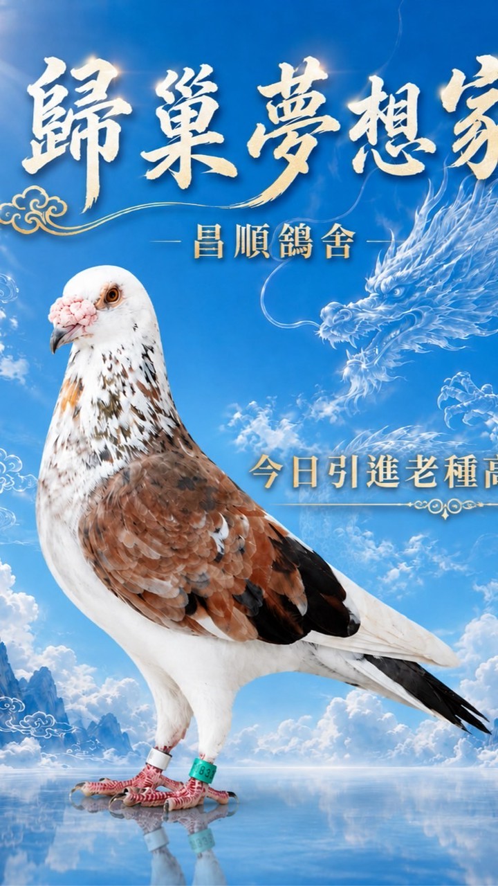 歸巢夢想家買賣社群