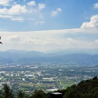 小鴨go go漫遊趣