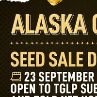 アラスカゴールドラッシュジャパンAlaska Gold Rash Japan