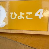 R4 ひよこ4組