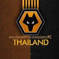 Wolveshampton THFC