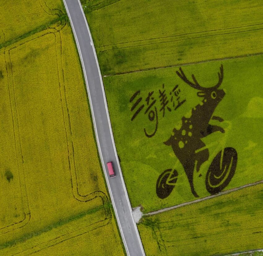 宜蘭秘境景點｜三奇美徑