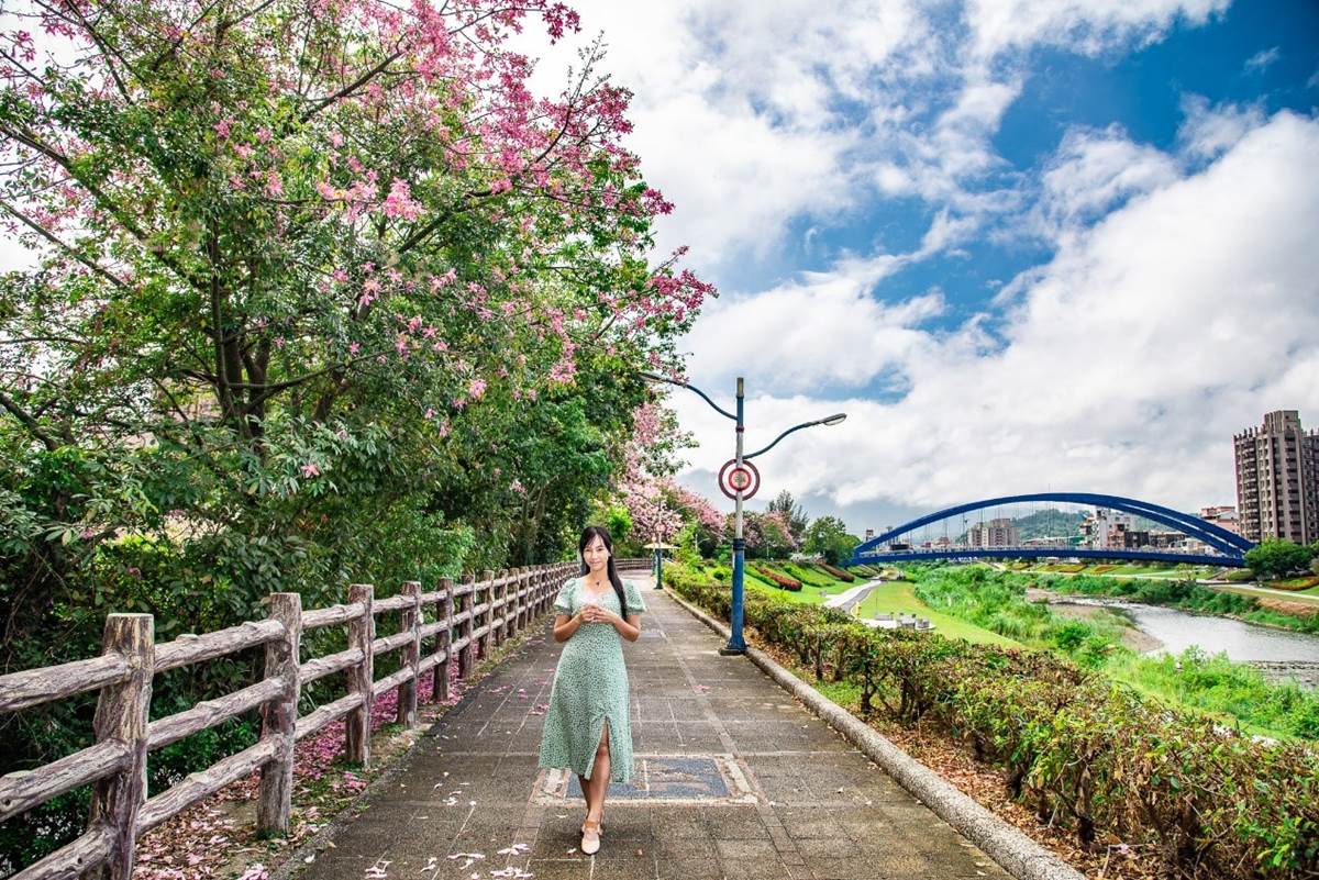 秋限定「賞櫻步道祕境」藏在這！上百株「美人樹」粉嫩大爆發，11月前免費拍