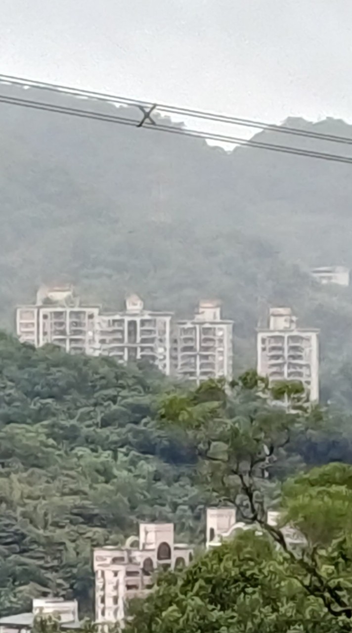 世新群