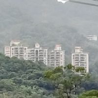 世新群