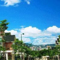 青山鎮（住戶贈物）群組