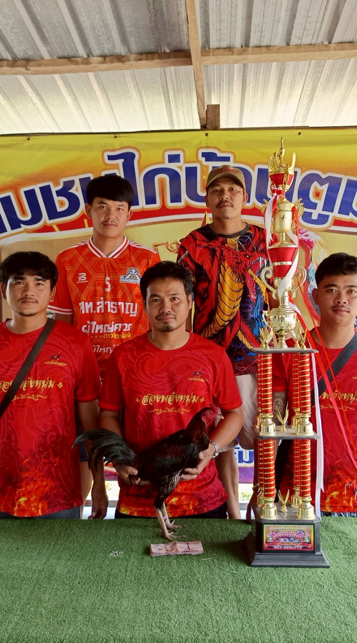 สองพลังหนุ่ม