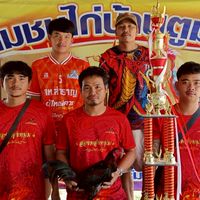 สองพลังหนุ่ม