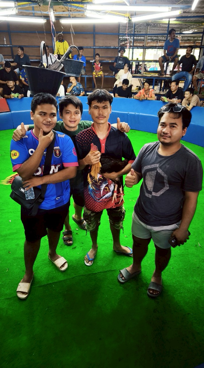 🐲88🐲ฟาร์ม  บุรีรัมย์