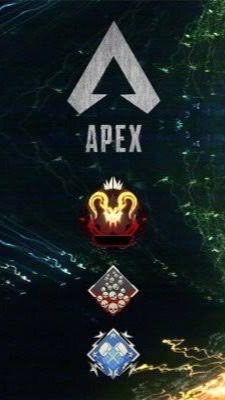 Switch APEX 談合