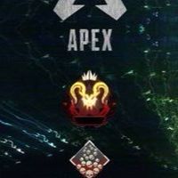 Switch APEX 談合