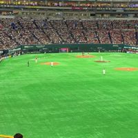 長崎のホークス好き🥎