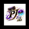 皮傑Ptcg中英日預購現貨鑒定卡