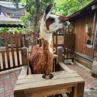 動吃卡吃～我想吃的玩的住的🤠旅遊／住宿／親子團購資訊大匯總