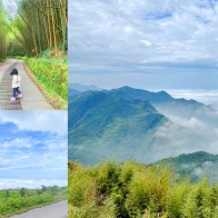 嘉義秘境【二延平】像日本嵐山一樣,宛如仙境的雲海,茶霧步道 