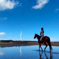 シェアホースアイランド・クラファン応援コミュニティ
