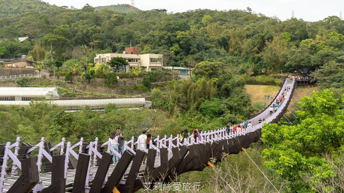 輕鬆好走不費力！內湖６條森林步道：80米「S型空中長廊」、紫色龍形吊橋