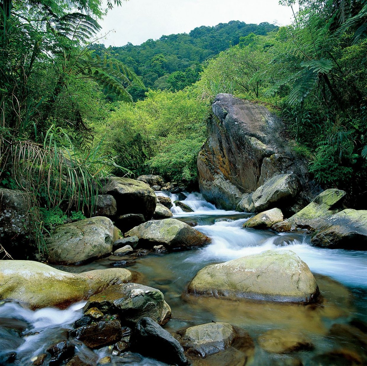 ９條宜蘭森林步道防疫秘境｜宜蘭森呼吸走步道防疫