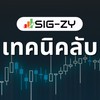 Sigzy เทคนิคลับ💰