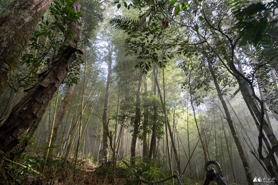 山女孩MelissaxMao冒險生活_水社大山_日月潭登山_路線分享-16.JPG