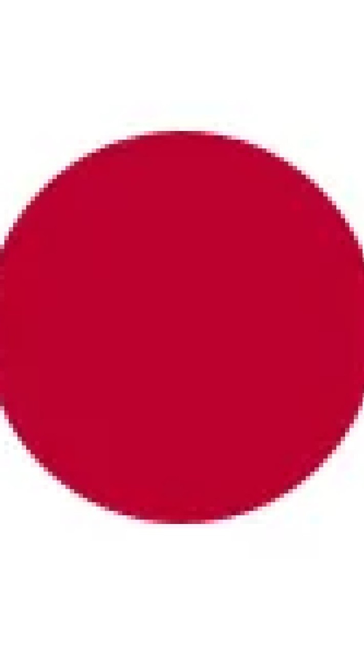 OpenChat Japanese brr ddn