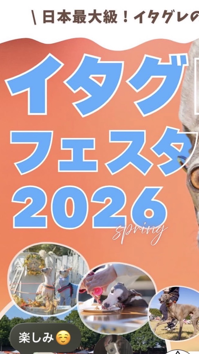 福島イタグレ会2026年5月イタフェス参加グループ
