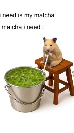มศก.เพ้ดรีจะกินมัจฉะทุกวัน