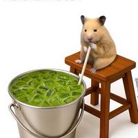 มศก.เพ้ดรีจะกินมัจฉะทุกวัน