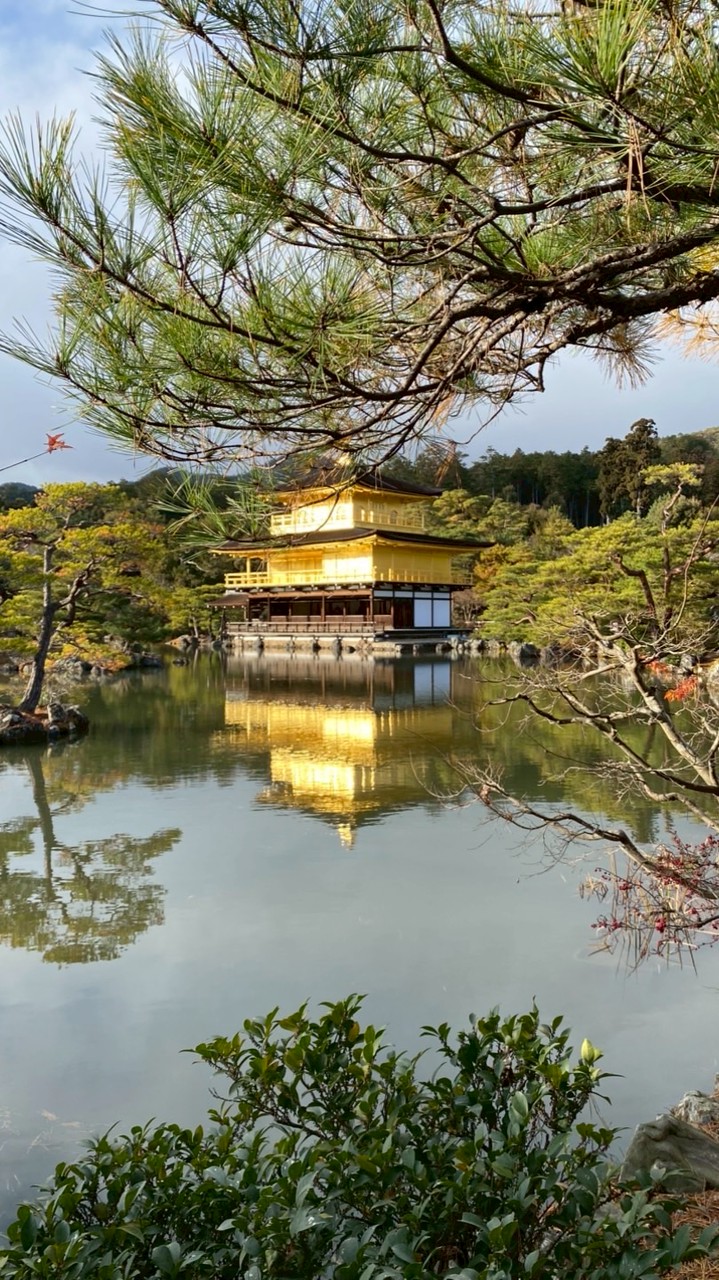 関西圏情報交換オプチャ(仮名称)